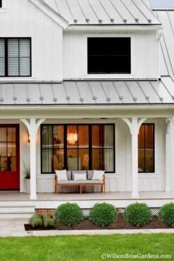 Korean Dwarf Boxwood - Buxus Sinica Var. Insularis 'Nana' - 6 Pack Of 1 Gallon Pots -Green Haven Shop Boxwood Korean Dwarf Insularis Nana 4