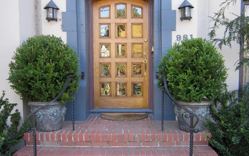 Wintergreen Boxwood - 6 Pack Of 1 Gallon Pots 5 Wintergreen Boxwood - 6 Pack Of 1 Gallon Pots - Image 5