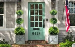 Green Mountain Boxwood 3-Ball Poodle Tier Topiary - 6 Gallon Pot -Green Haven Shop buxus green mountain 3 ball topiary 20