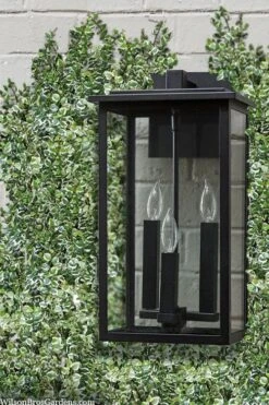 Variegated Creeping Fig - Ficus Pumila 'Variegata' - 5 Pack Of Pint Pots -Green Haven Shop ficus pumila variegata creeping fig 102 1