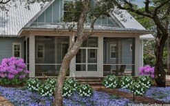 Snow Globe Gardenia - 3 Gallon Pot -Green Haven Shop gardenia jasminoides snow globe 2