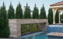 Spartan Juniper - 7 Gallon Pot (3-4') -Green Haven Shop juniperus chinensis spartan columnar juniper 40