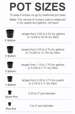Green Haven Shop -Green Haven Shop pot size chart 2022 572